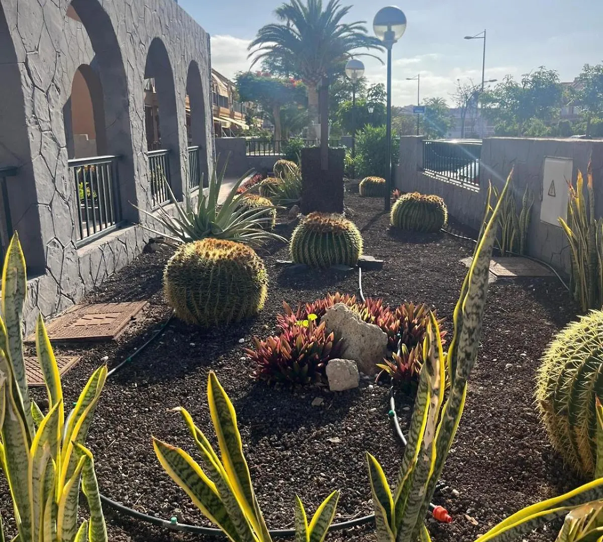 Appartement Casa Montana Amarilla 60 à Costa Del Silencio